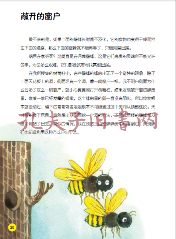 昆虫记·贪婪的麻醉专家:砂泥蜂