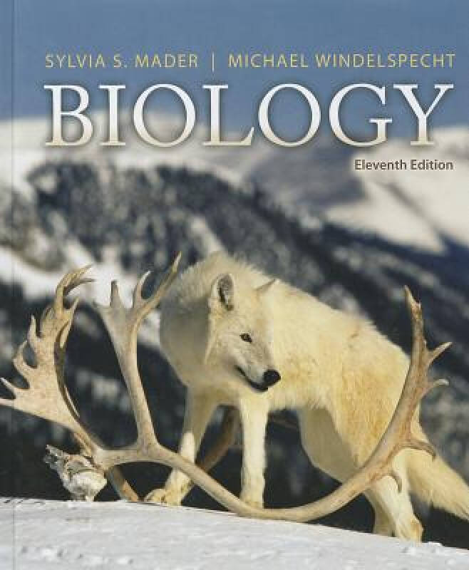 biology(sylvia windelspecht mader 著)_简介_价格