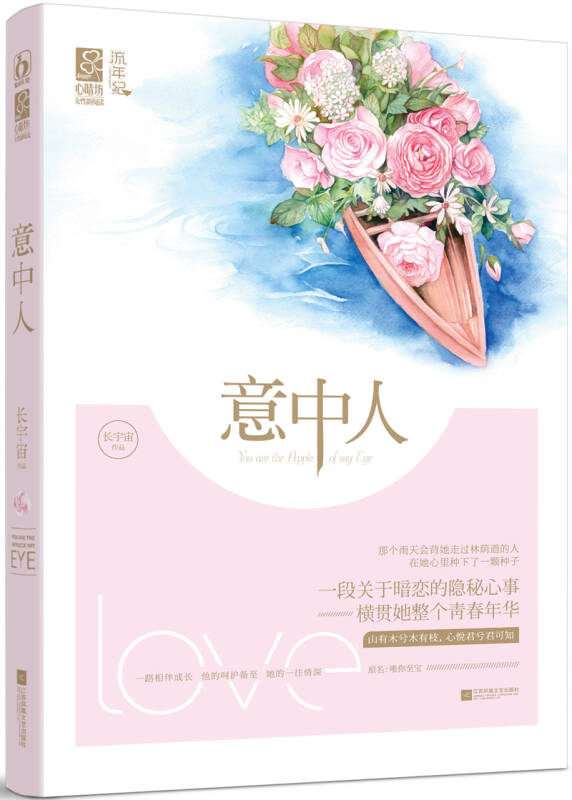 意中人(长宇宙 著)_简介_价格_文学书籍_孔网
