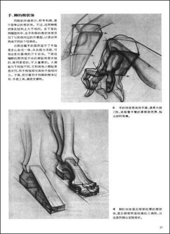 动态素描·人体结构
