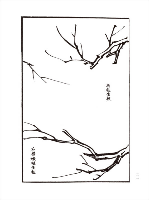 芥子园画谱:梅谱(基础范本,经典画谱,精选题跋)