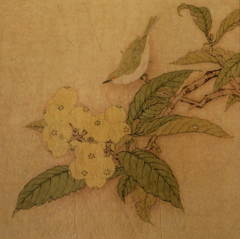 枇杷绣羽图 白头丛竹图(原大版)/李晓明临宋画六步学