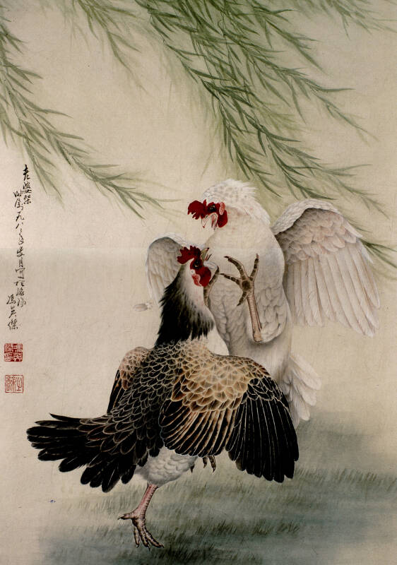 冯英杰鸡画精品