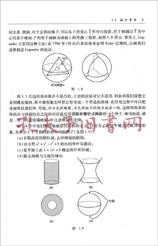 基础拓扑学(孔网)