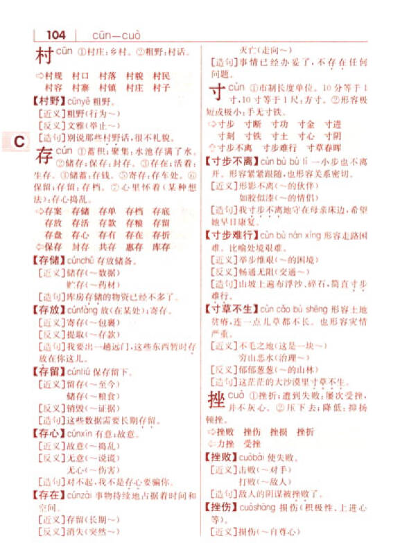 同义词近义词反义词组词造句成语多音多义字词典(大字本)