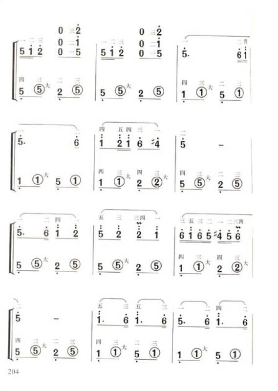 手风琴演奏入门(简谱大字版)