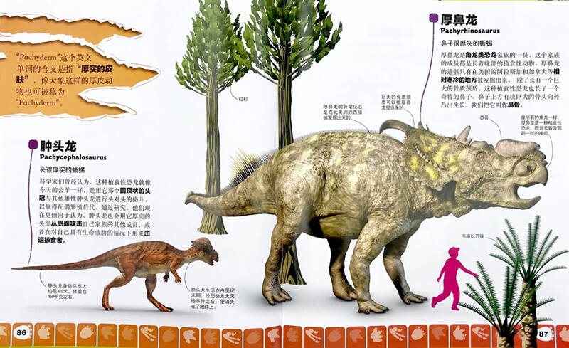 dk儿童恐龙大世界:三叠纪侏罗纪白垩纪的恐龙家族和我们身边的恐龙