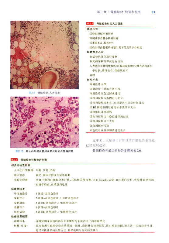 临床血液,骨髓细胞形态学:正常与病理特征