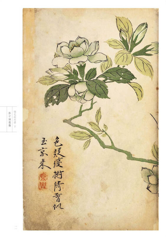 芥子园画传 花鸟卷·翎毛花卉谱下(康熙原版)