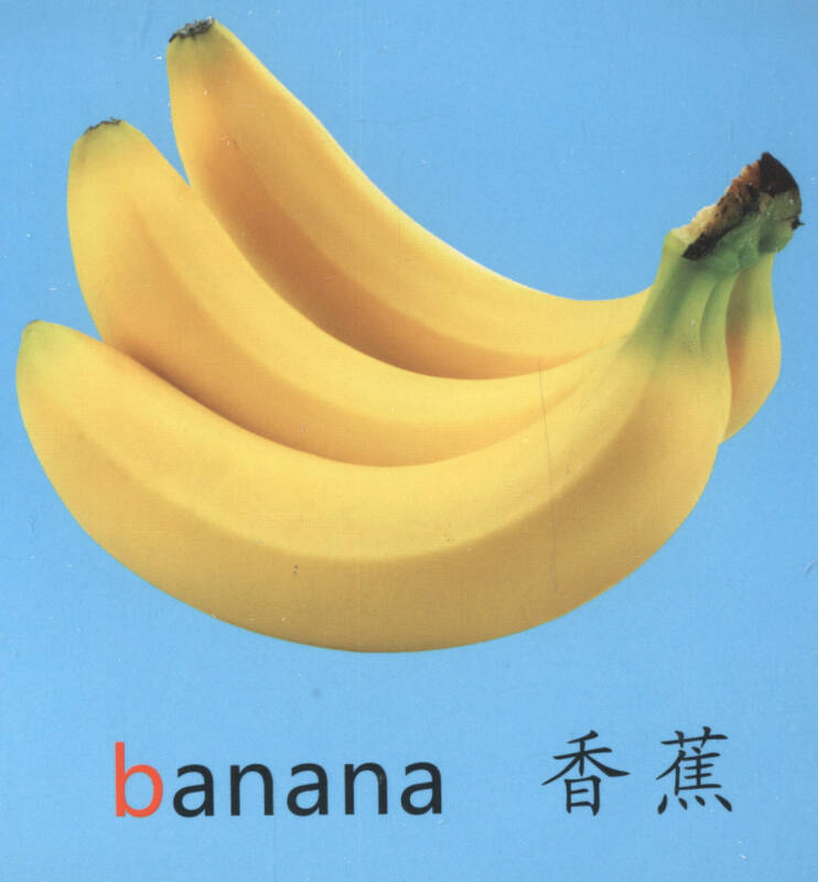 英文字母/幼幼认知启蒙卡