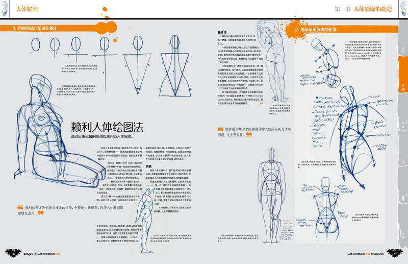 人体与动物结构·特辑