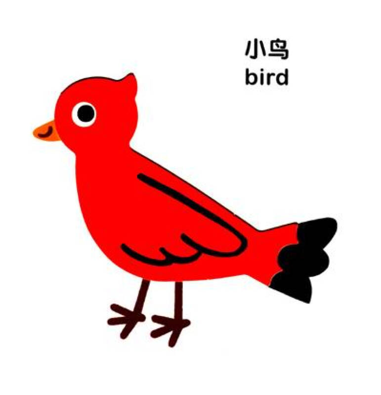 动物动物捉迷藏