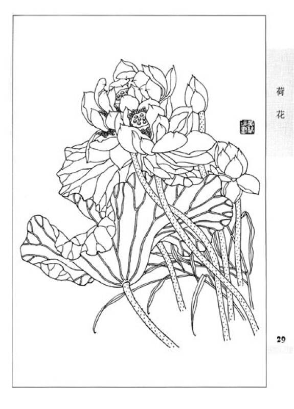 十招画室精品汇编·中国画实用范图:白描花卉