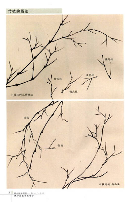 跟名家学国画·技法与小品:跟宁家录学画竹子