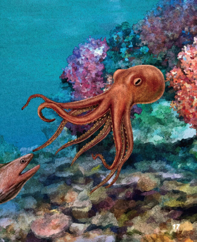 海洋动物探秘故事丛书:章鱼和蓝环章鱼