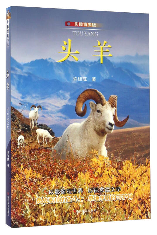 头羊(影像青少版)