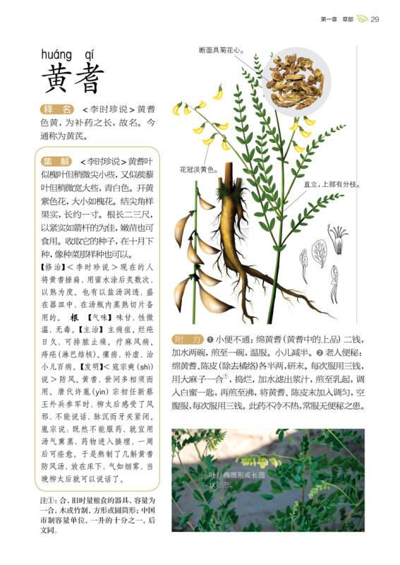 本草纲目图谱:植物识别