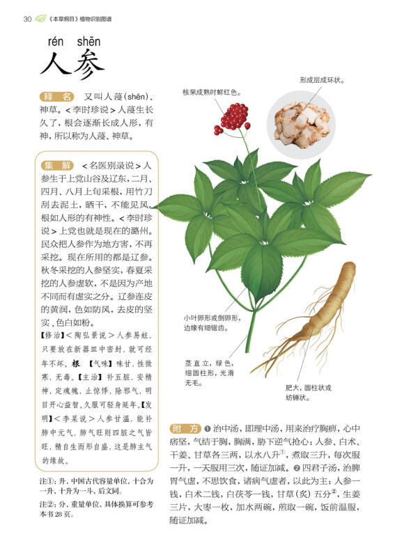 本草纲目图谱植物识别