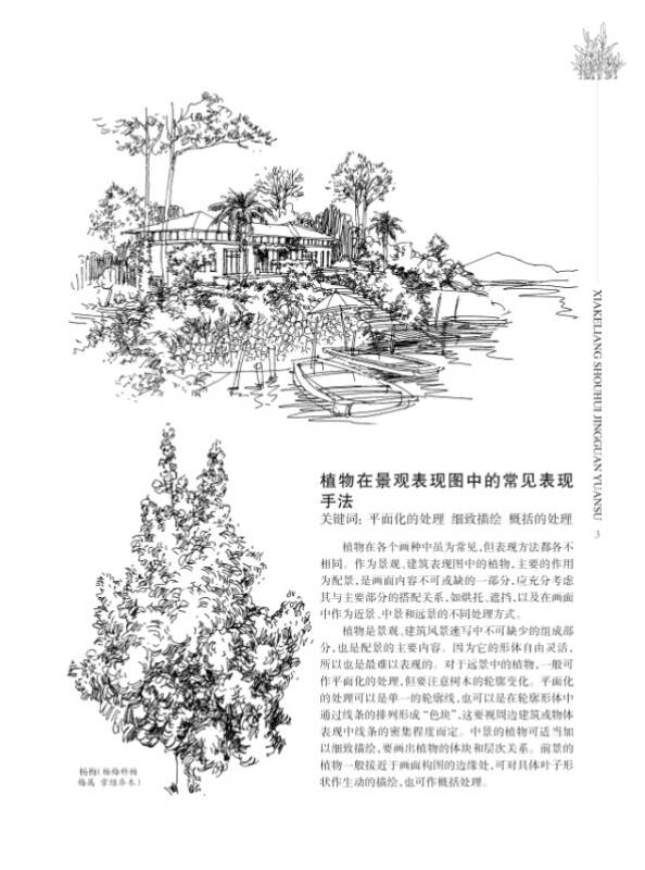 夏克梁手绘景观元素:植物篇(上)