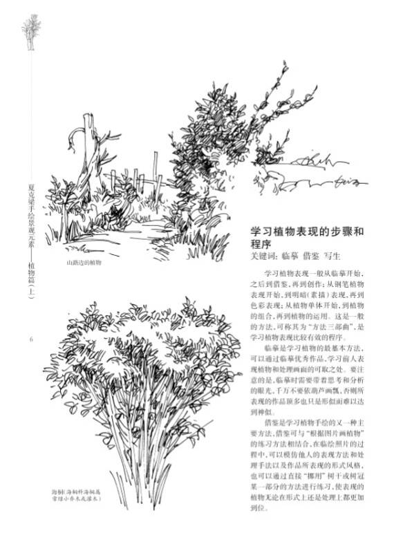 夏克梁手绘景观元素:植物篇(上)