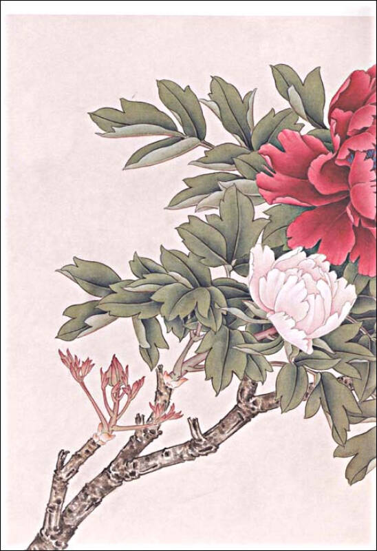 中国工笔牡丹绘画技法