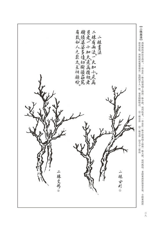 墨点字帖芥子园画谱(白话文版) 树谱