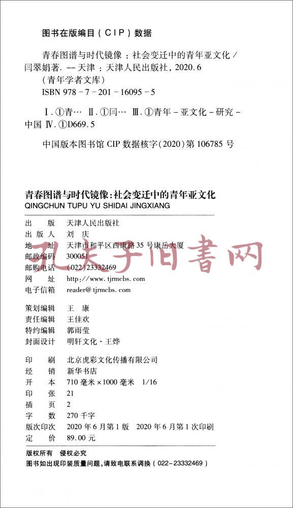 青春图谱与时代镜像社会变迁中的青年亚文化