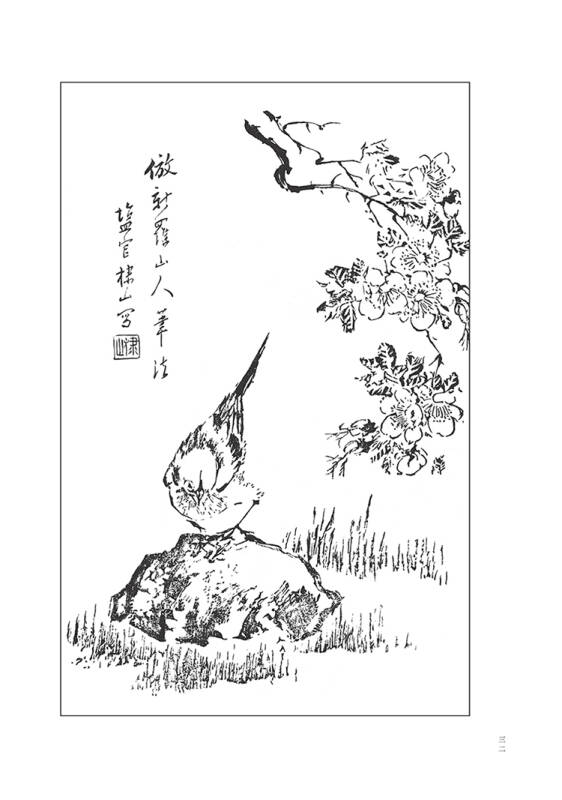 墨点字帖芥子园画谱(白话文版) 花鸟画谱