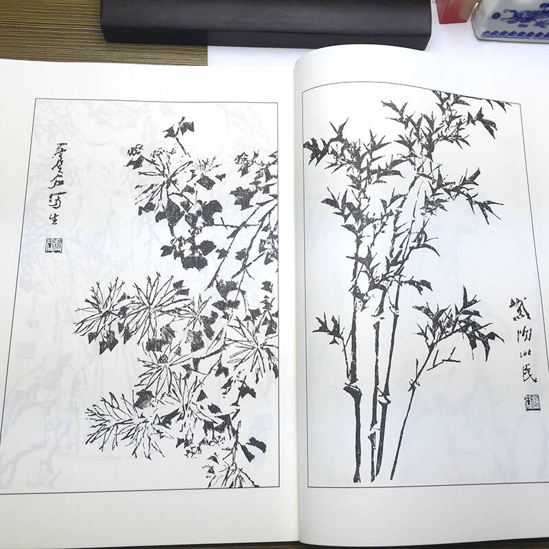 墨点字帖芥子园画谱(白话文版) 花鸟画谱