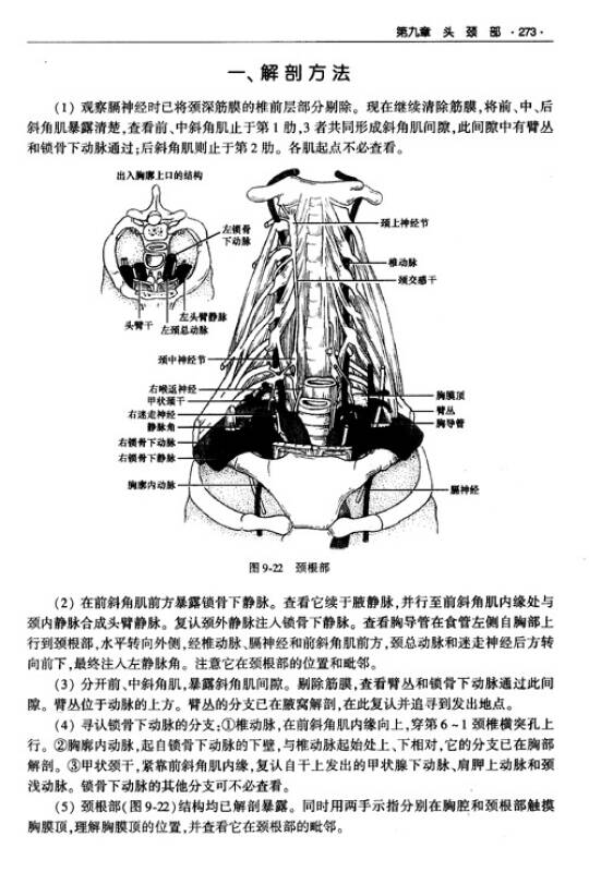 人体解剖方法(孔网)