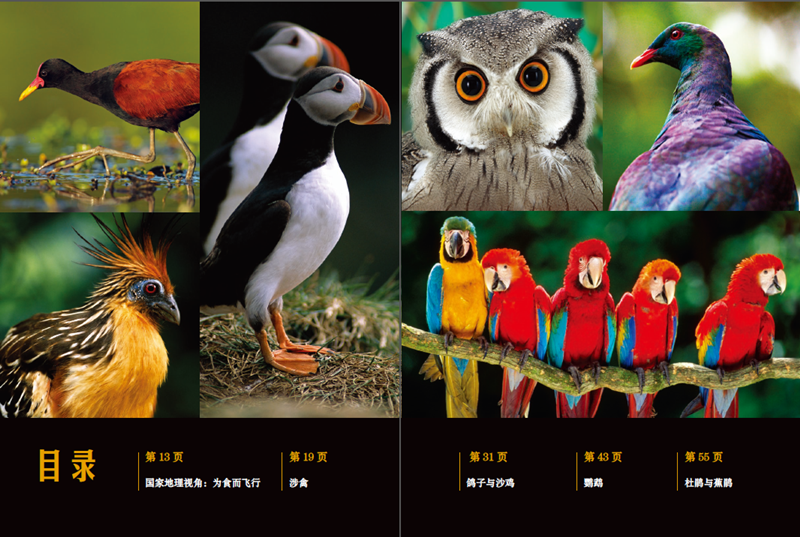 国家地理动物大百科:鸟类Ⅱ
