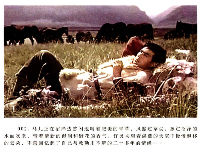 光影见证·黄藏历史·中国经典电影连环画丛书:牧马人