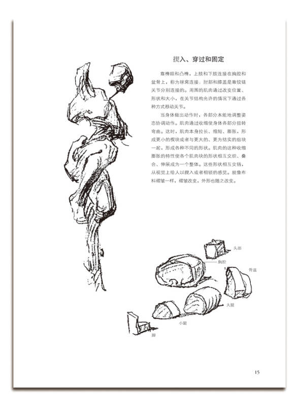 伯里曼人体结构绘画教学