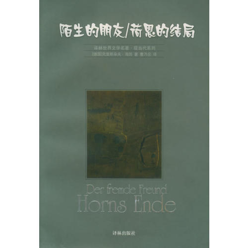 陌生的朋友 荷恩的结局