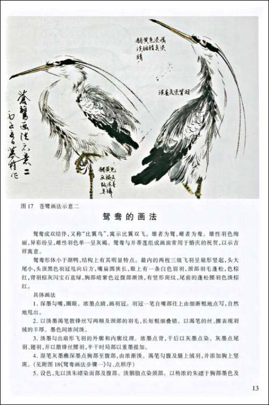 老年学书画:写意花鸟画技法(第8册鸟类2)