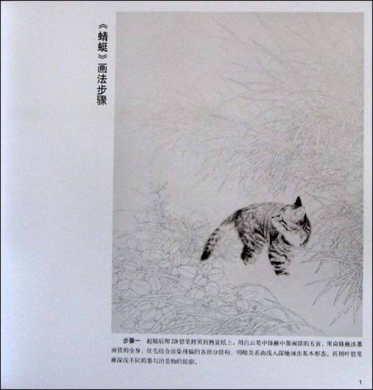 工笔猫画法2