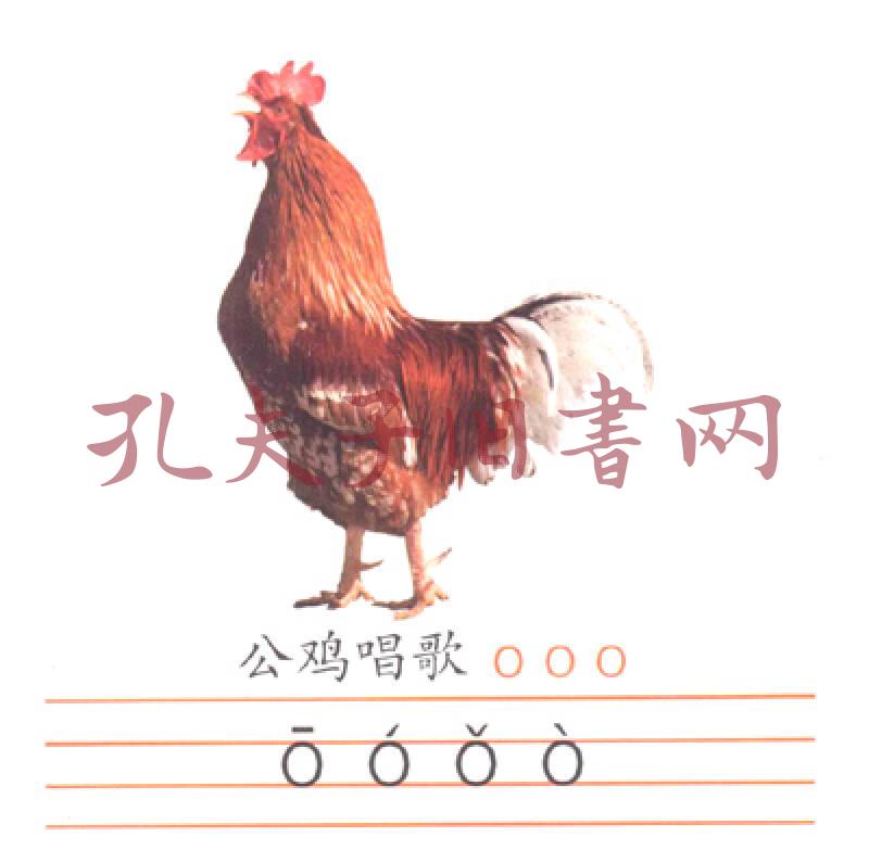 学前必备卡:拼音卡