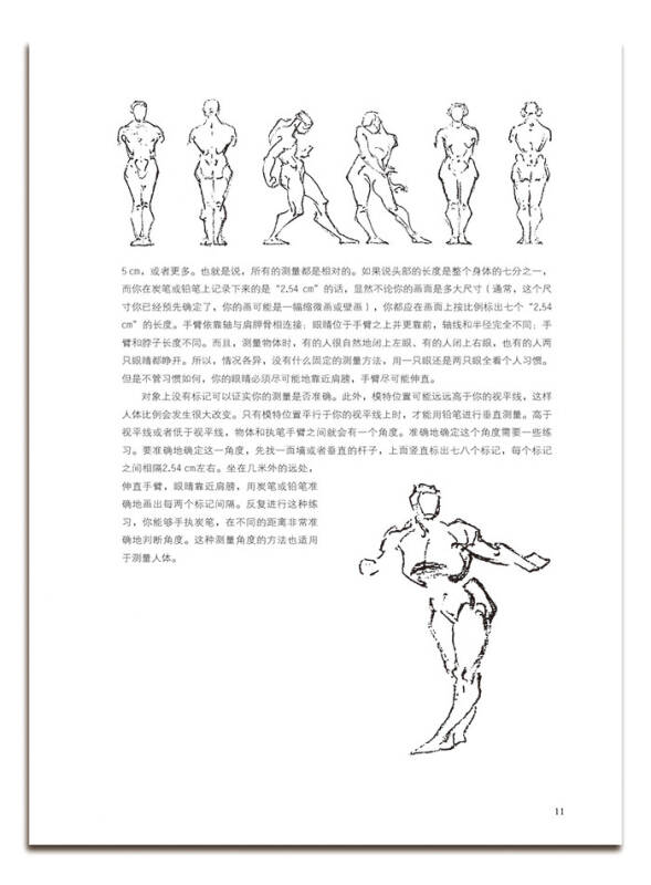 伯里曼人体结构绘画教学(白金版)