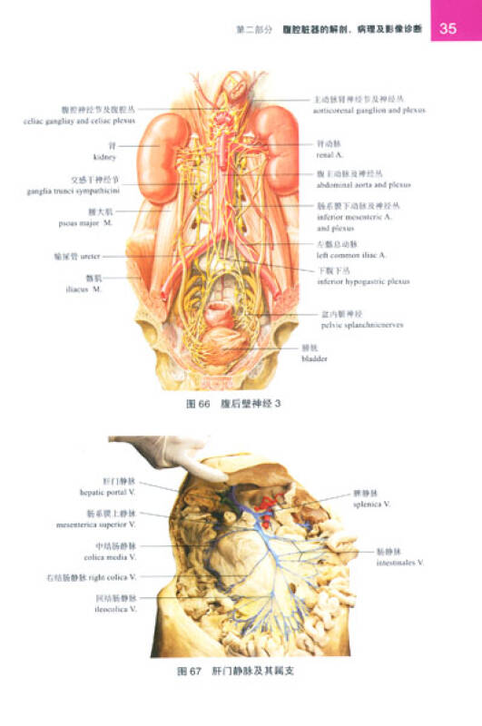 腹部外科手术解剖彩色图谱