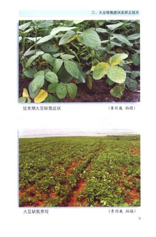 作物常见缺素症状系列图谱:大豆常见缺素症状图谱及矫正技术