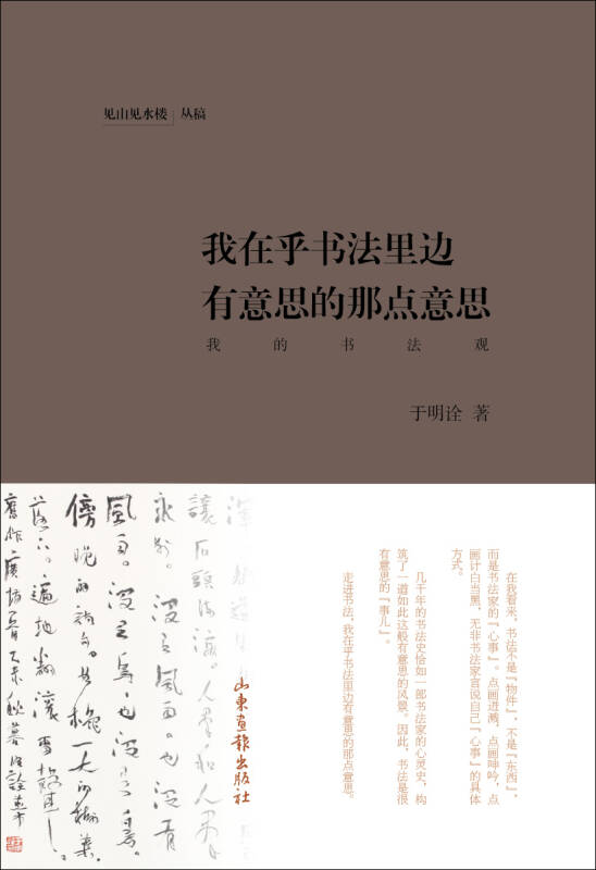 我在乎书法里边有意思的那点意思
