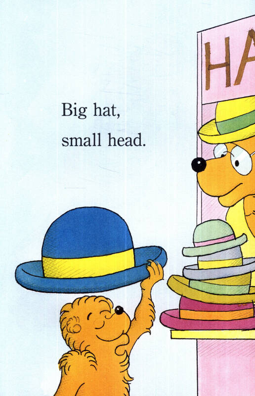 the berenstain bears" big bear small bear 贝贝熊