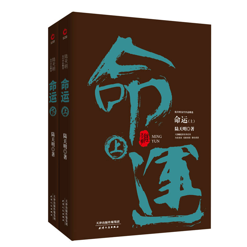 陆天明当代作品精选:命运(套装全2册)