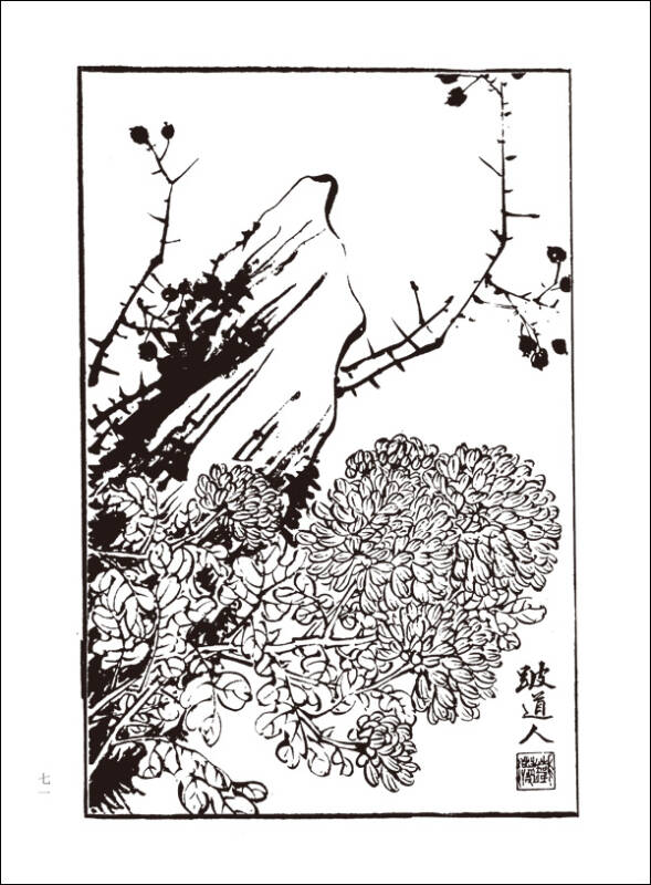 芥子园画谱:菊谱