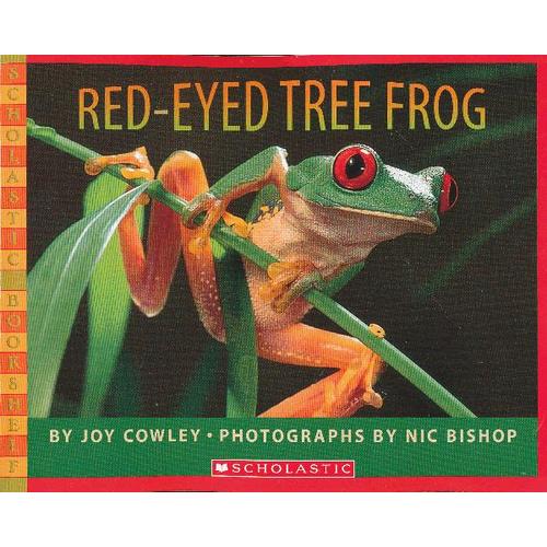 red-eyed tree frog (scholastic bookshelf)红眼睛