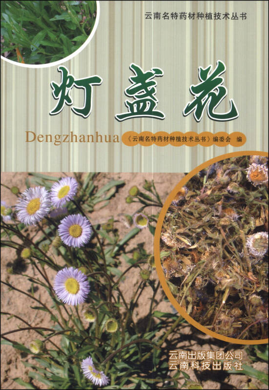 云南名特药材种植技术丛书:灯盏花