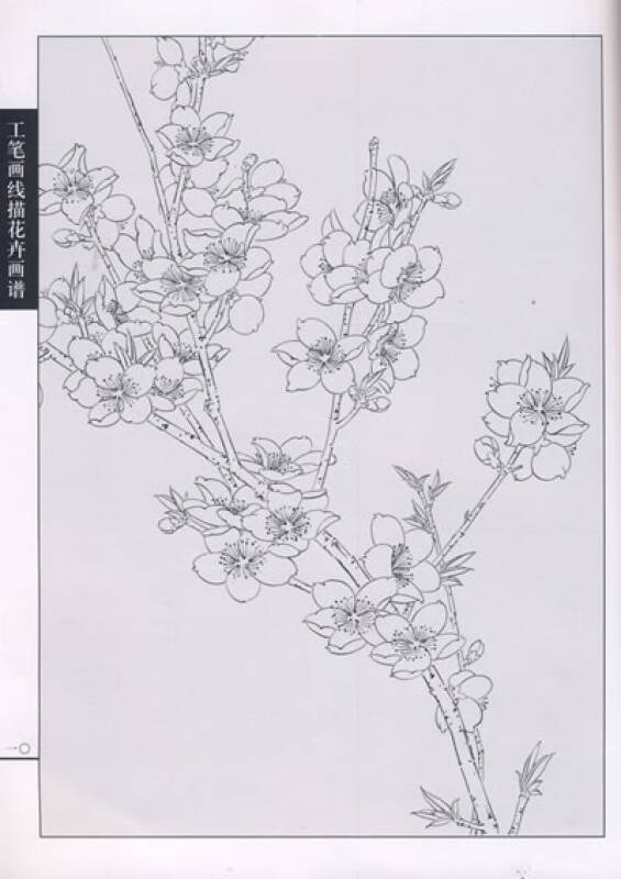 工笔画线描花卉画谱:桃花篇