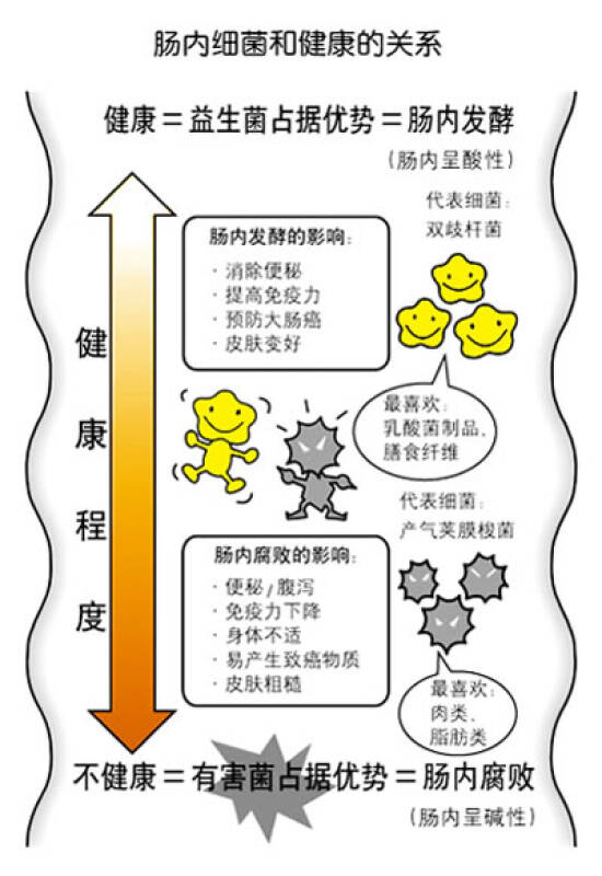 肠道清洁书