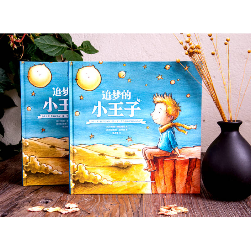 追梦的小王子-《小王子》作者圣·埃克苏佩里传记绘本
