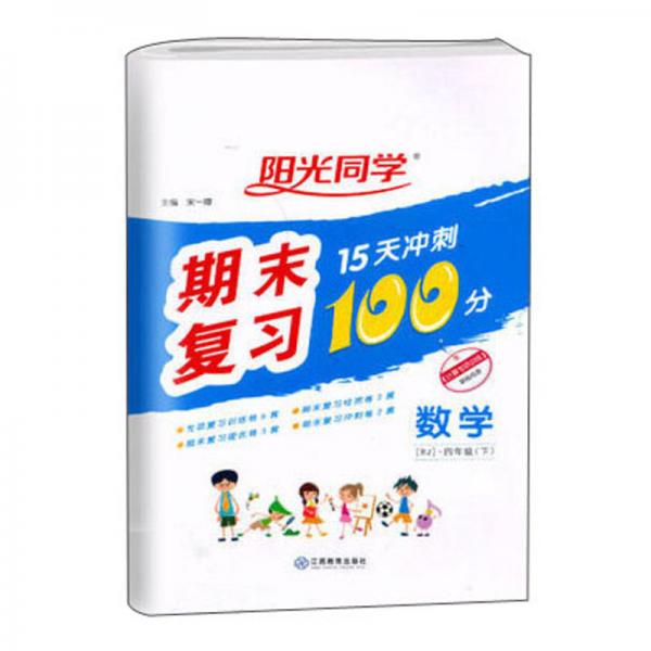 数学附专项训练4下rj阳光同学期末复习15天冲刺100分